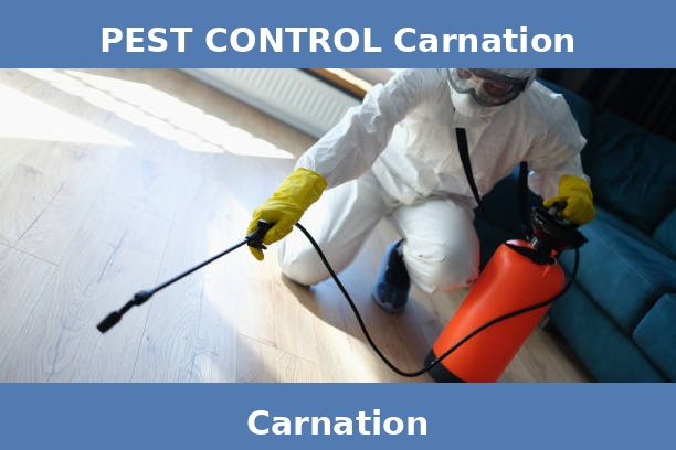PEST CONTROL Carnation